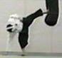 ϑ̐R